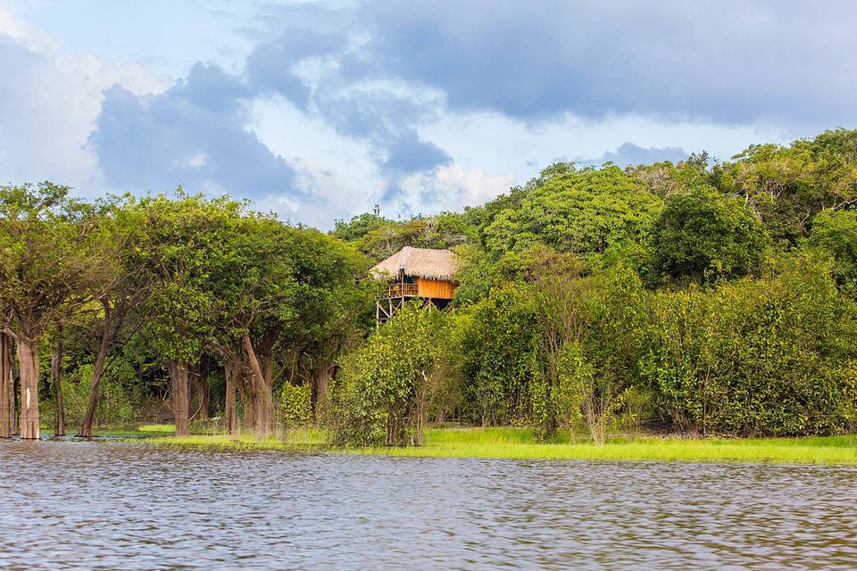 JUMA LODGE - MANAUS
