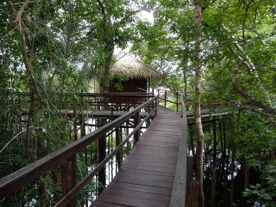 JUMA LODGE - MANAUS