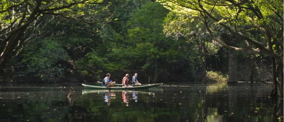 ANAVILHANAS JUNGLE LODGE - MANAUS