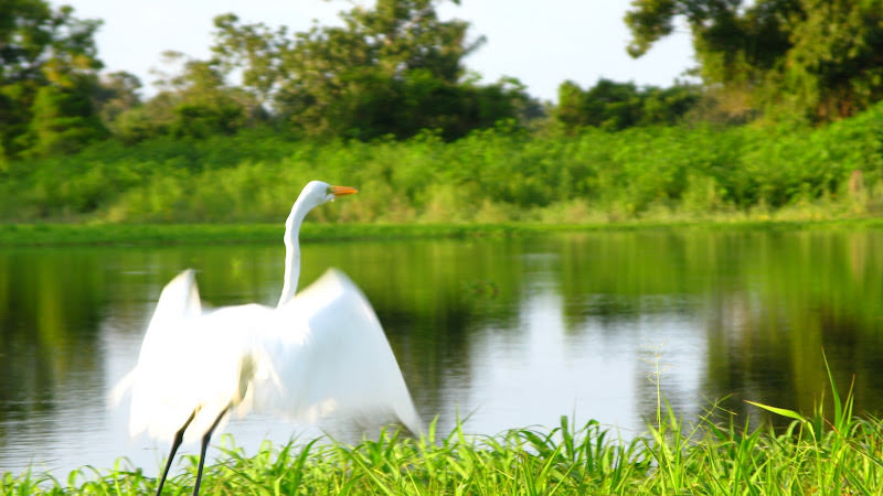 AMAZON DREAM RIVER CRUISES SANTAREM