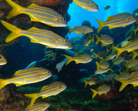 POUSADA TRIBOJU - Fernando de Noronha