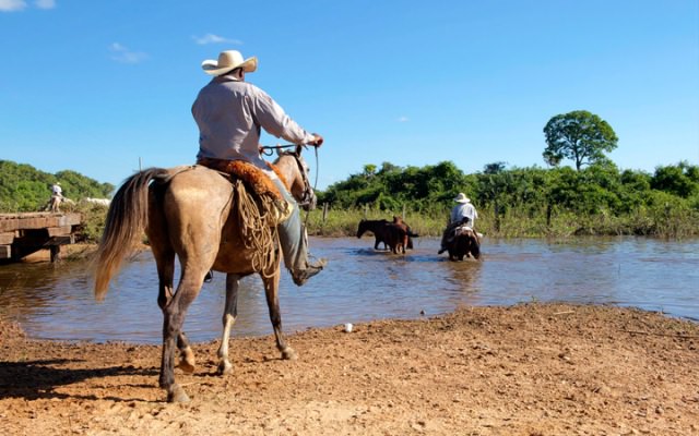 PANTANAL E BONITO