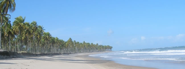 Pernambuco