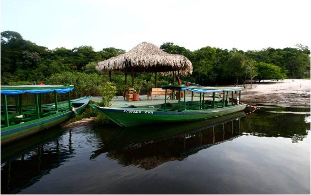 AMAZON ECOPARK JUNGLE LODGE - MANAUS