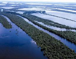 ANAVILHANAS JUNGLE LODGE - MANAUS
