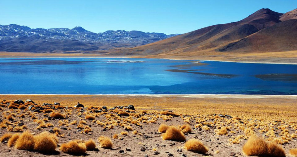 CHILE ESSENZIALE