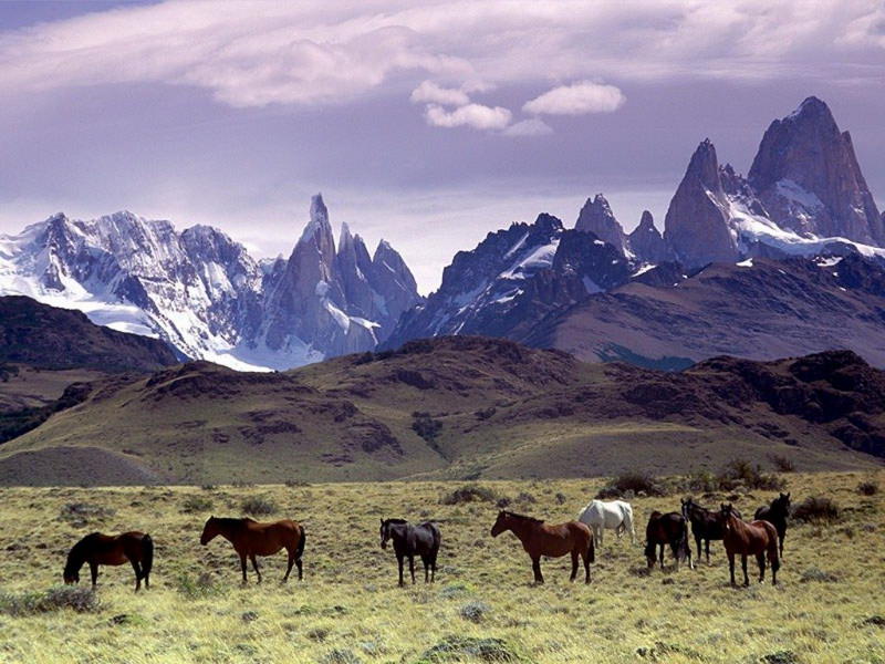 ARGENTINA - Patagonia Express