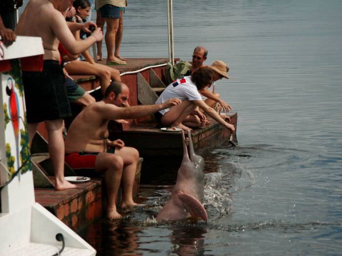 AMAZON CLIPPER CRUISES - Flotta Tradizionale - MANAUS