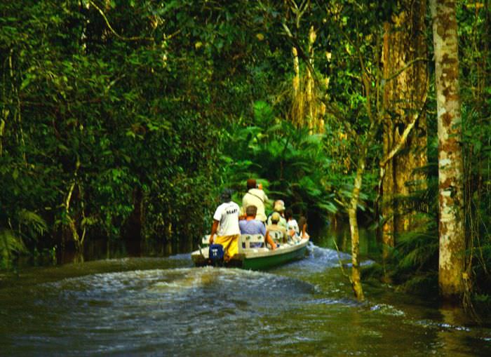 AMAZON CLIPPER CRUISES - Flotta Tradizionale - MANAUS