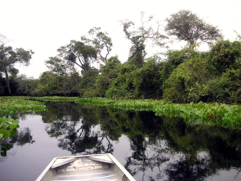 PANTANAL COMPLETO