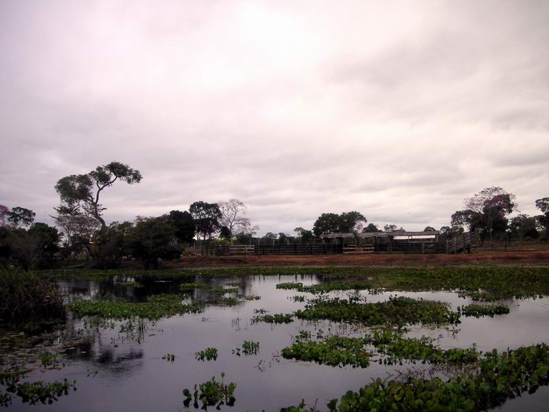 PANTANAL COMPLETO