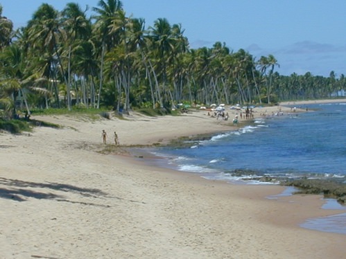 SALVADOR DE BAHIA - Praia do Forte