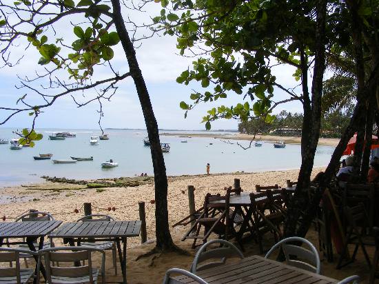 SALVADOR DE BAHIA - Praia do Forte