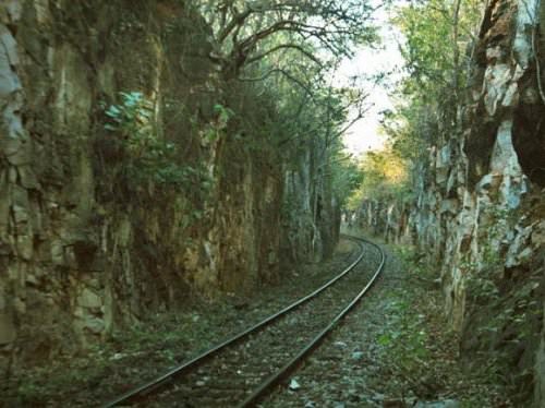 Il Treno del Pantanal