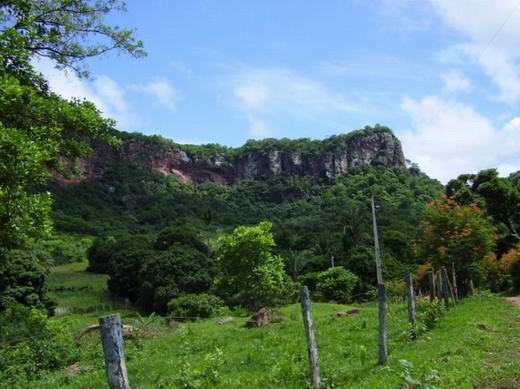 Il Treno del Pantanal