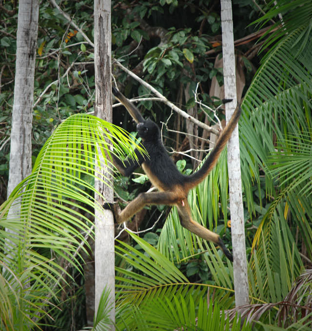 Katerre Amazon Expeditions