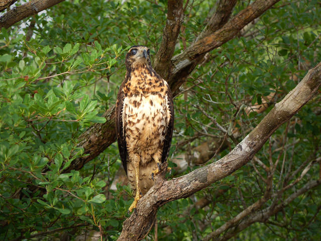 Katerre Amazon Expeditions