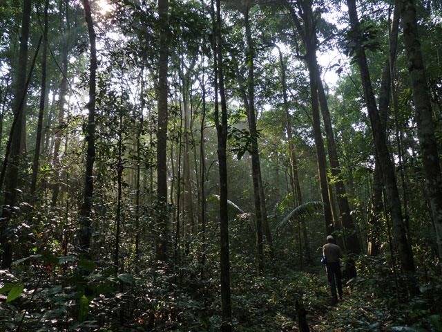 Katerre Amazon Expeditions