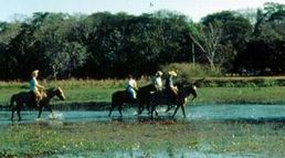 PANTANAL COMPLETO
