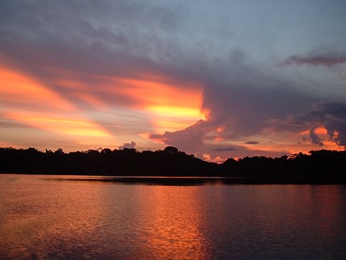 JUMA LODGE - MANAUS