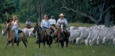 PANTANAL COMPLETO