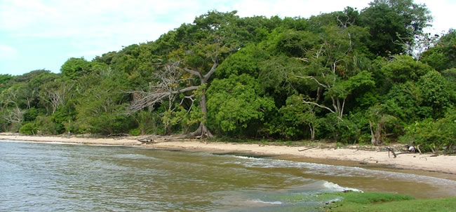 Isola Marajo