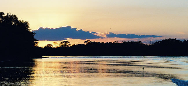 Pantanal
