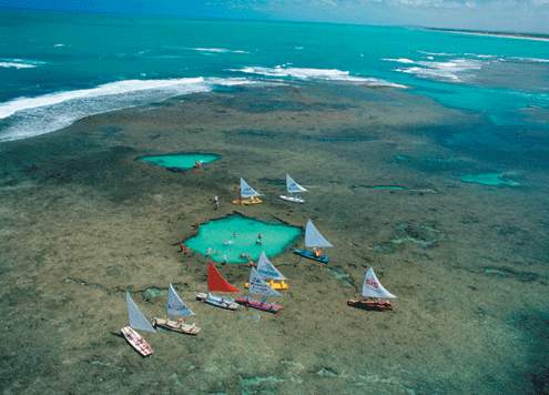 PORTO DE GALINHAS 7 giorni - 6 notti A partire da 365,00
