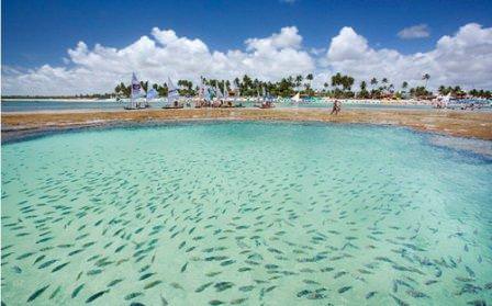 PORTO DE GALINHAS 7 giorni - 6 notti A partire da 365,00