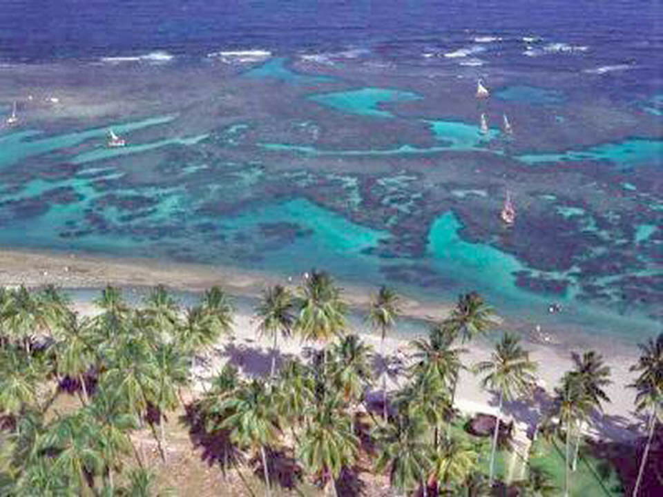 PORTO DE GALINHAS 7 giorni - 6 notti A partire da 365,00