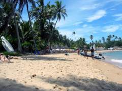 SALVADOR DE BAHIA - Praia do Forte