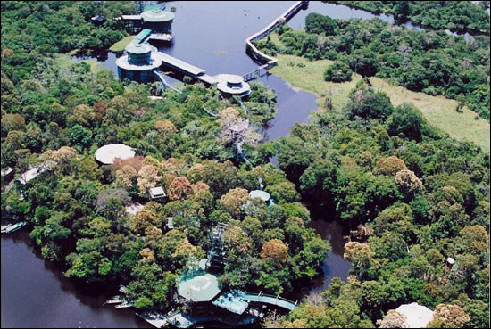 AMAZZONIA