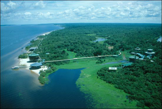 AMAZZONIA