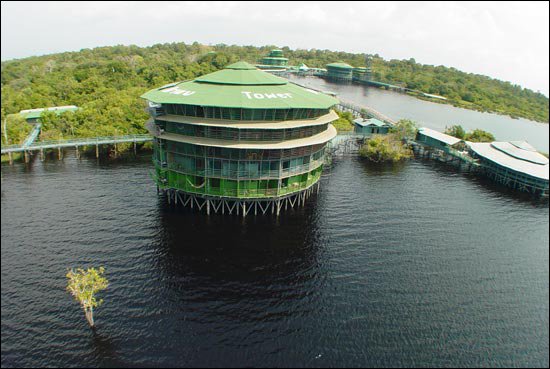 AMAZZONIA