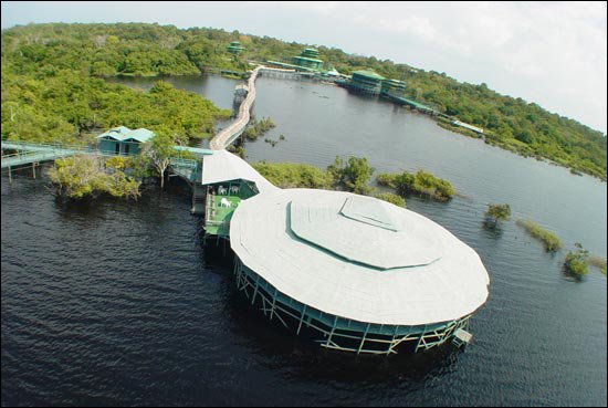 AMAZZONIA