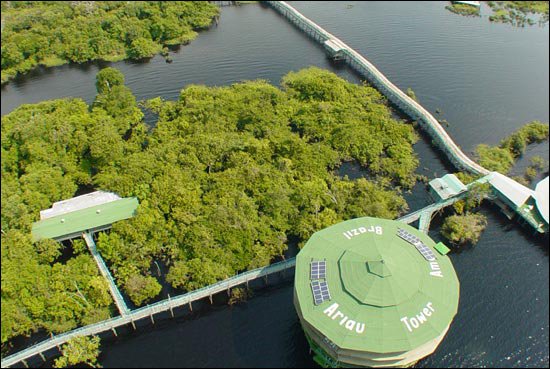 AMAZZONIA